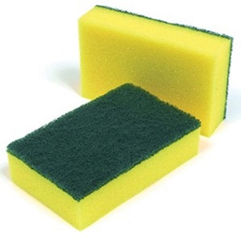 Sponge Scourers-1x1202